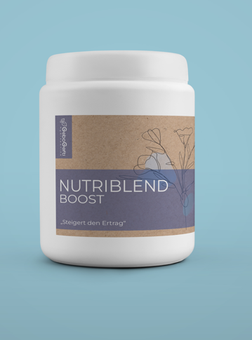 Screenshot 2024-11-20 121631